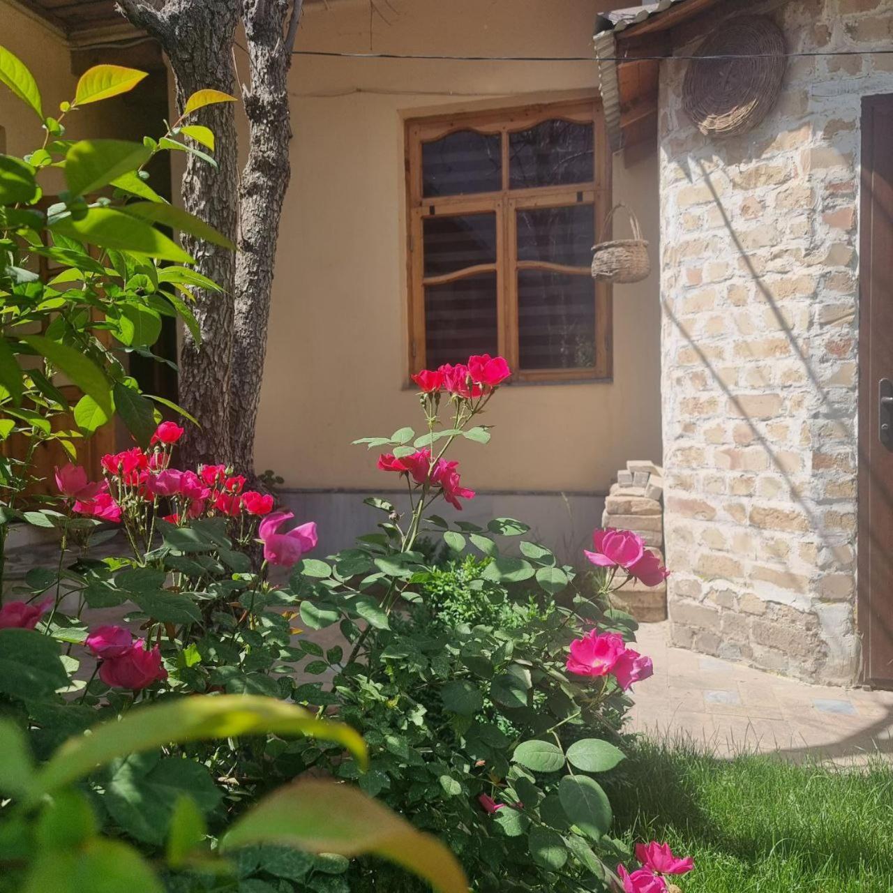 Sim-Sim Hostel & Backpackers Самарканд Экстерьер фото