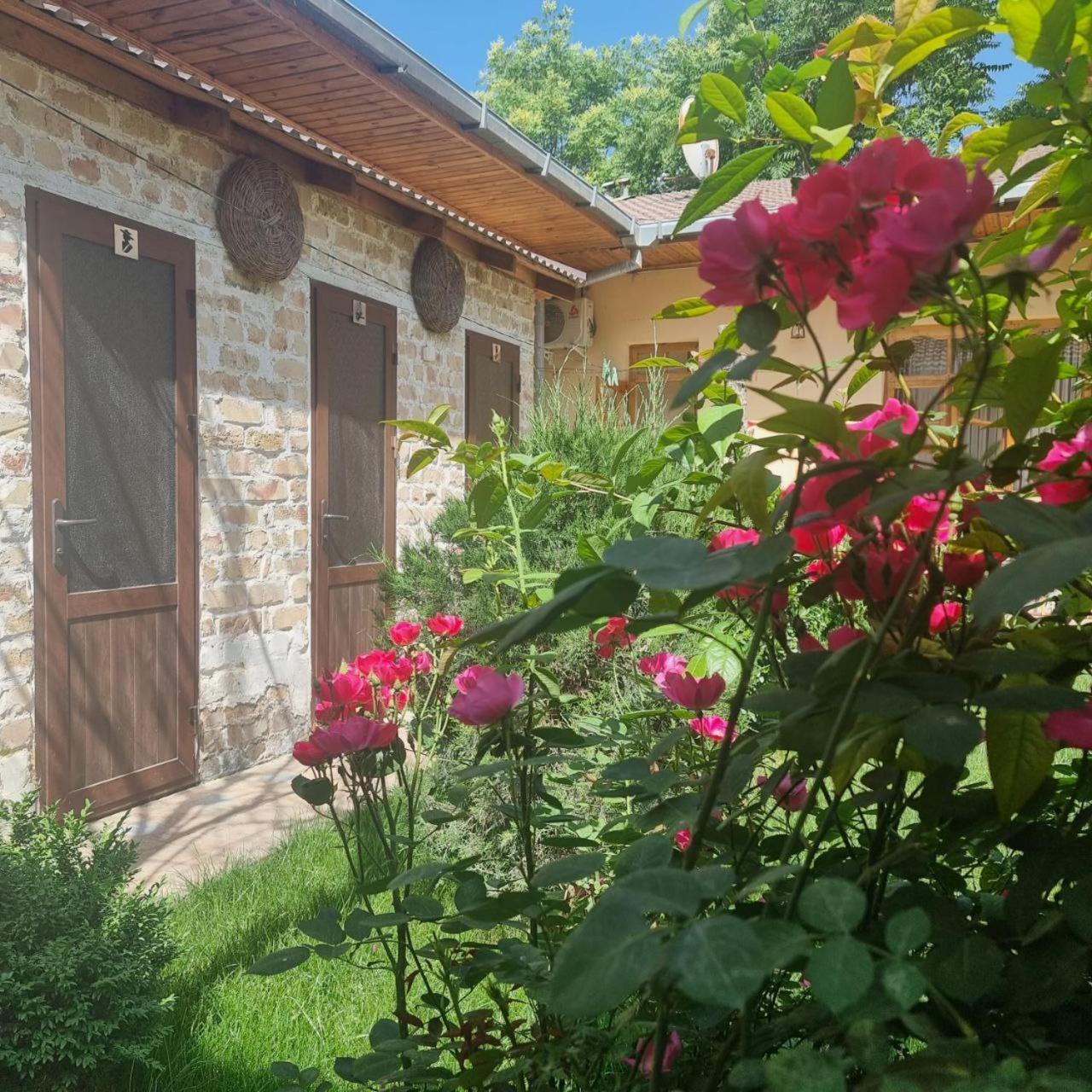 Sim-Sim Hostel & Backpackers Самарканд Экстерьер фото